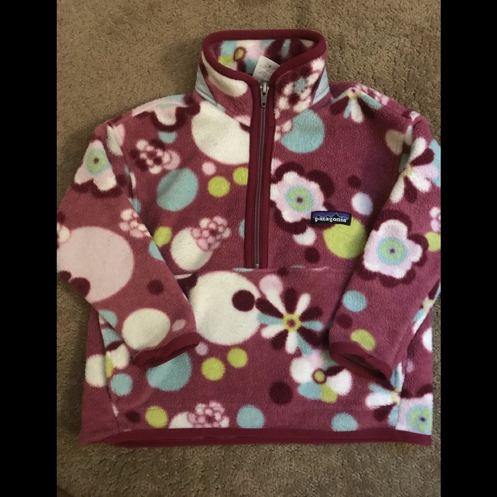 Patagonia synchilla fleece